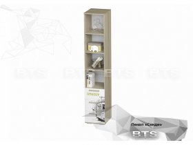 Пенал Сенди девочка ПН-04 (BTS) в Игарке - igarka.mebel-nsk.ru | фото