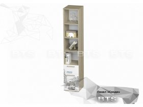 Пенал Сенди мальчик ПН-04 (BTS) в Игарке - igarka.mebel-nsk.ru | фото