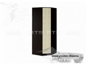 Шкаф угловой Фиеста (BTS) в Игарке - igarka.mebel-nsk.ru | фото