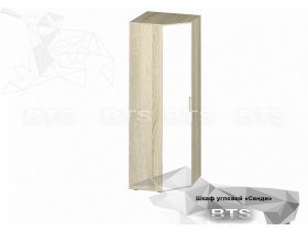 Шкаф угловой Сенди ШК-01 (BTS) в Игарке - igarka.mebel-nsk.ru | фото